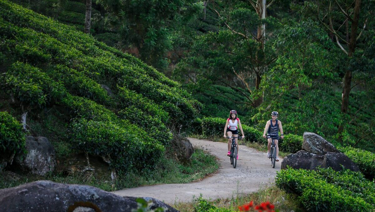 Fragrant_Nature_Munnar – Best Kerala DMC| Kerala B2b Tour operator