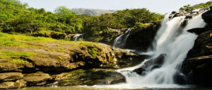 nyayamakad waterfalls