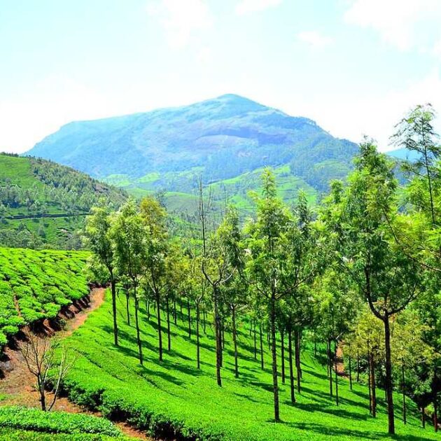 munnar
